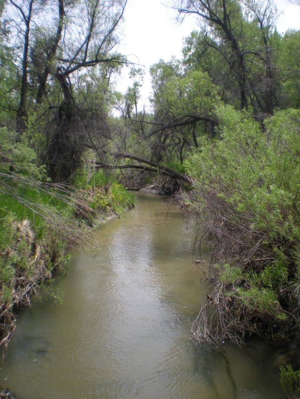 Cherry Creek at the park