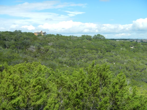Travaasa Austin Texas Bluebonnet Room View