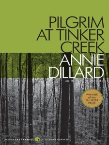 pilgrim at dinker creek by annie dillar