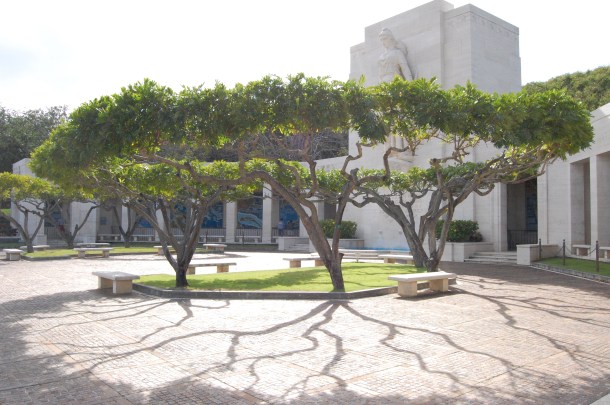 At the Punchbowl Cemetery