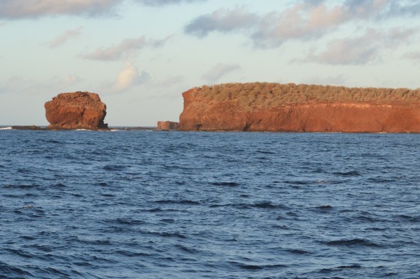 Lanai's dramatic coastline