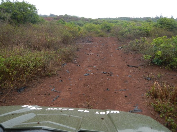 Driving the Muddy Trail with Lanai Grand Adventures Lanai Hawaii
