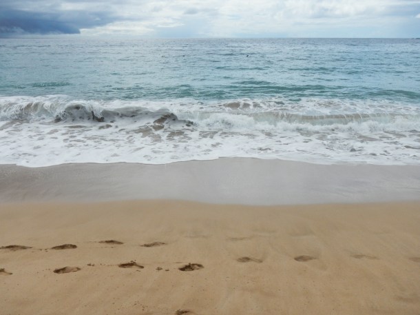 Heading to the water