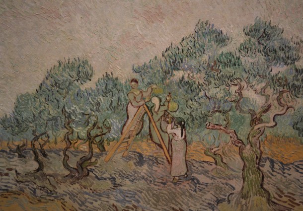Van Gogh's The Olive Orchard, 1889