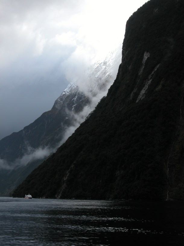 Milford Sound Fiordland National Park New Zealand Cruise Ship