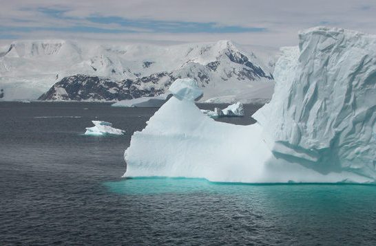 A rhino-like iceberg