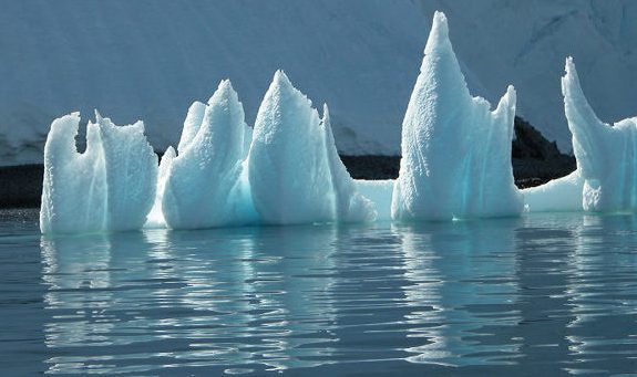 A thorny-like iceberg