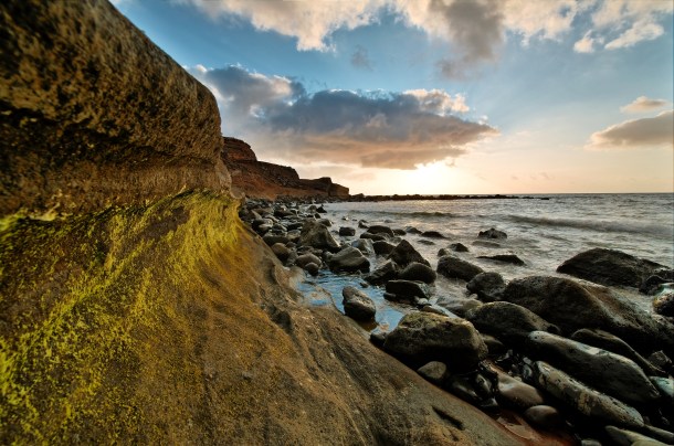 Photo Credit: Luc Viatour on Flickr