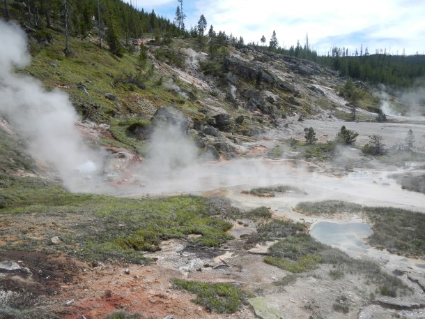 The Artists Paintpots