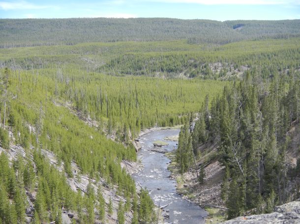 Watching the Gibbon River flow south