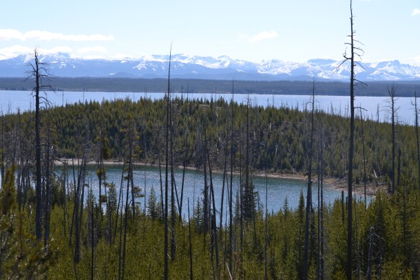 Yellowstone Lake Overlook