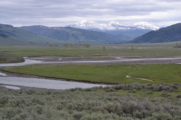 The stunning Lamar Valley