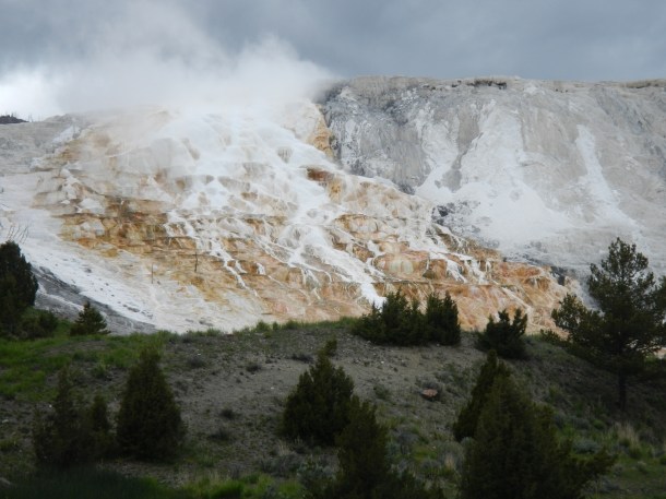 The Mammoth Hot Springs Terrances