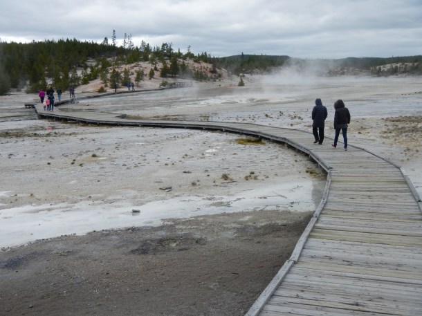 Walking through the Norris Geyser Basin