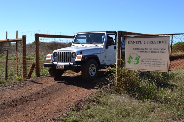 Driving into Lanai's Kanepu'u Preserve