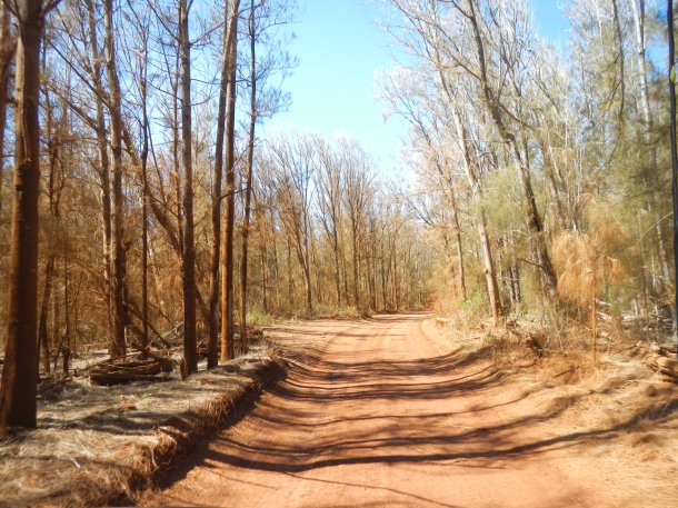 Driving through the Kanepu'u Preserve