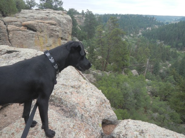 Anna stopping to enjoy Castlewood Canyon's rim views