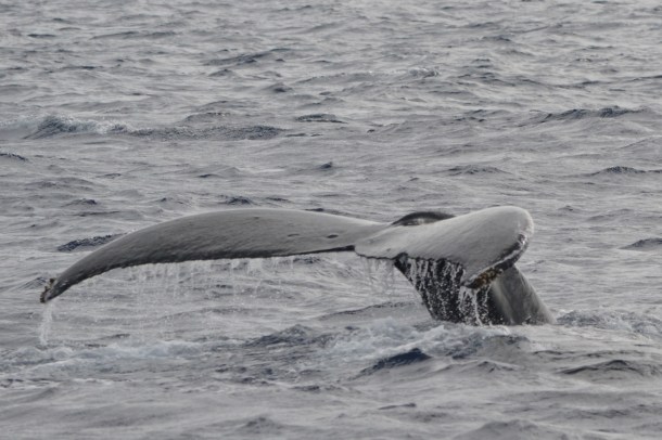 ...and begins to curve to show...