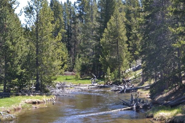 Crossing the Firehole River