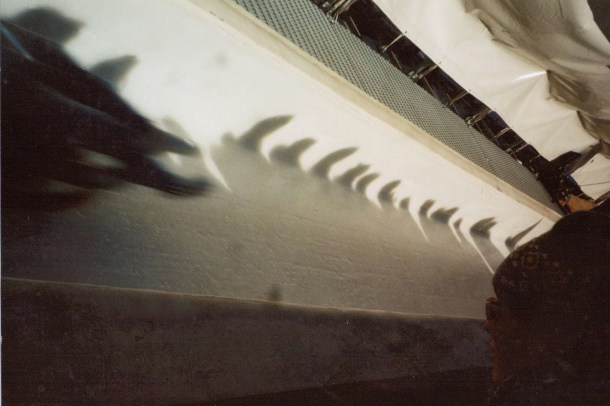 Luge ain't easy to photograph...