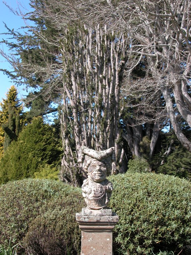 Larnach Castle's Queen of Hearts