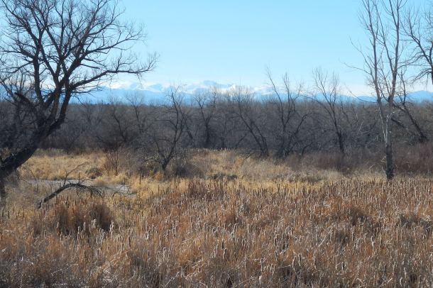 The view from Cherry Creek State Park