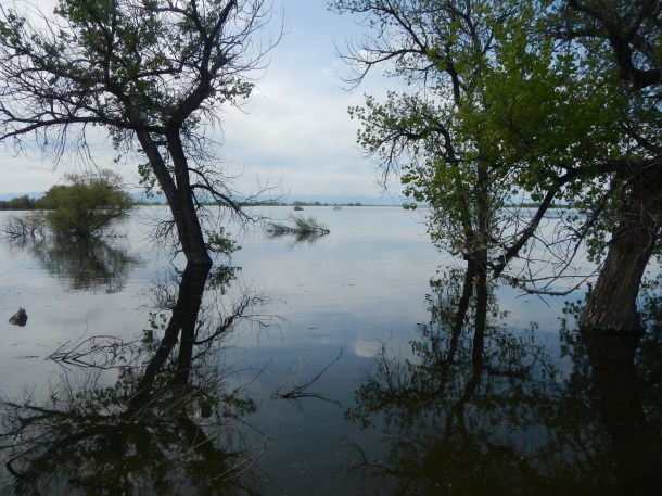 Barr Lake State Park - May 18th
