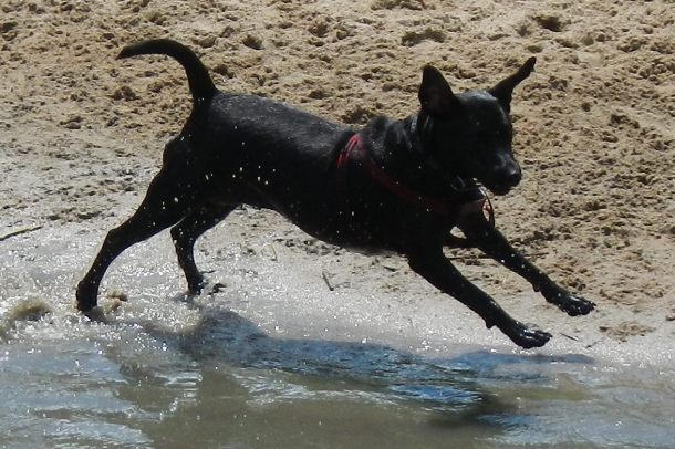 Anna at Cherry Creek State Park - June 12th