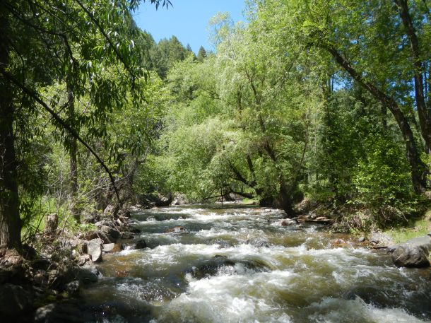 Lair o' the Bear - June 13th