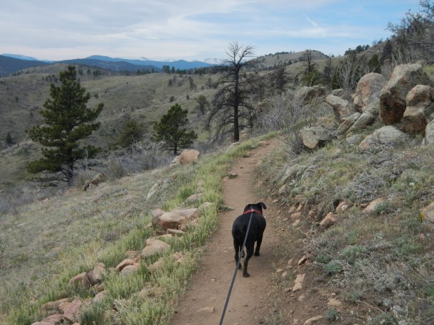 Mt. Galbraith - May 3rd